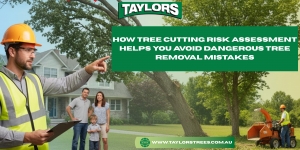 How Tree Cutting Risk Assessment Helps You Avoid Dangerous Tree Removal Mistakes
