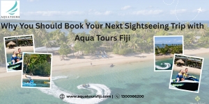 Why You Should Book Your Next Sightseeing Trip with Aqua Tours Fiji