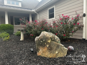 Garden Center Near Me: Explore the Best Spots for Plants & Outdoor Beauty