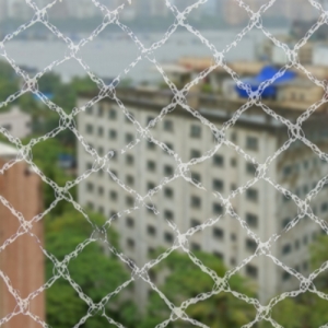 Understanding the Purpose of Traditional Bird Netting