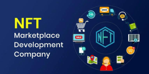 NFT Marketplace Development Company Insights