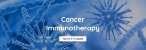 Expectations for Your Cancer Immunotherapy Treatment