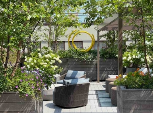 Best Plants for a Winter Roof Garden: Beauty That Survives the Cold