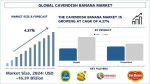 Cavendish Banana Market Report, Size, Overview, Trends & Analysis 2033