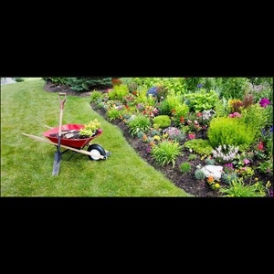 Top Benefits of Hiring Professional Gardening and Landscaping Services