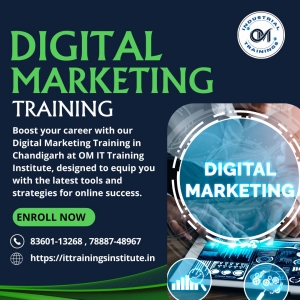Master the Future: Digital Marketing Training in Chandigarh That Transforms Careers
