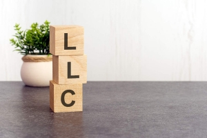 Essential Tips for Successfully Creating an LLC Online in Texas