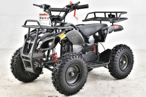 How to Experience Family Adventures with Vitacci ATVs?