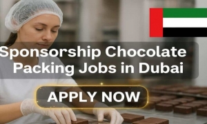 Understanding Unskilled Jobs: Opportunities and Growth