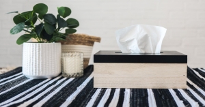 Tissue Box Holders: Simple Ways to Keep Your Home Clean and Stylish
