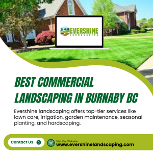 Top-Rated Commercial Landscaping Services in Burnaby, BC for a Lasting Impression