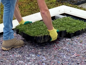 Green Roof Installation Industry Trends 2025: Growth & Business Opportunities