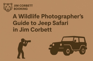 A Wildlife Photographer’s Guide to Jeep Safari in Jim Corbett