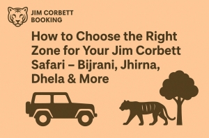 How to Choose the Right Zone for Your Jim Corbett Safari – Bijrani, Jhirna, Dhela & More