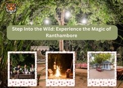 Step Into the Wild: Experience the Magic of Ranthambore