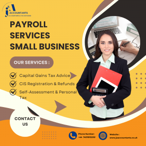 Limited Company Accountants in London