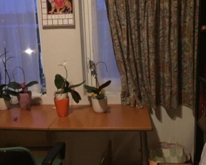 What To Plan Before You Find A Room For Rent In Amsterdam?