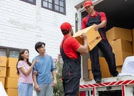 Professional Movers Canberra: Making Relocation Stress-Free