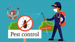 Choosing the Right Pest Control Company in Mississauga: What to Look for Pest Control 