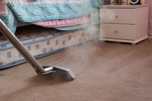 Carpet Steam Cleaning Hacks For A Healthier Home