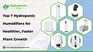 Top 7 Hydroponic Humidifiers for Healthier, Faster Plant Growth