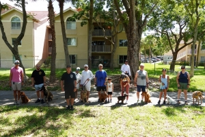 Service Dog Training in Miami: Who Qualifies and How It Works