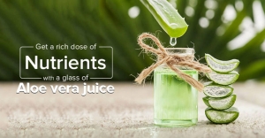 Aloe Vera and Bile Salts: Health Benefits