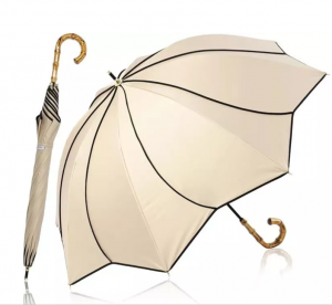 Parasol: The Sun’s Silent Companion — Its Past, Present, and Promise