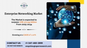 Enterprise Networking Market Share, Size and Outlook 