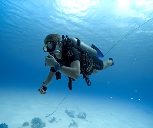 How Scuba Diving in India Helps Corporate Professionals Beat Stress and Find Balance