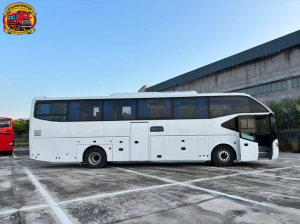 The Many Faces of the Bus: Evolution, Impact, and Future of Public Transport