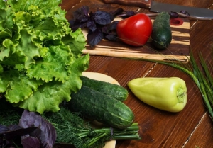 From Balcony to Kitchen: Easiest Vegetables to Grow in Indian Homes