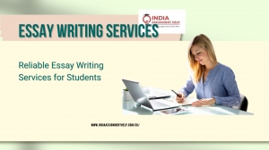 How Essay Writing Services Help Students Understand Complex Topics 