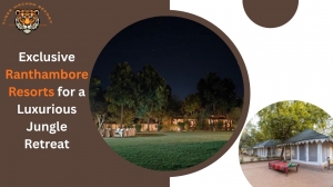 Exclusive Ranthambore Resorts for a Luxurious Jungle Retreat