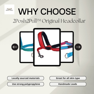 How 2Posh2Pull™ Helped Us Rediscover the Joy of Walking Our Dog