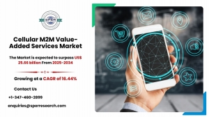 Cellular M2M Value-Added Services Market Share and Growth Analysis 