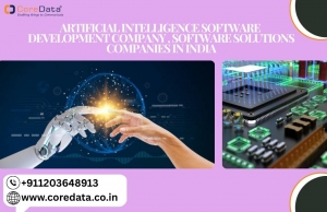 AI Software Development Company and Software Solutions Company in India