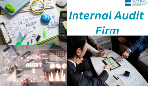 How an Internal Audit Firm Helps Improve Business Efficiency