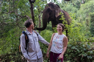 A Guide to Finding the Right Ethical Wildlife Volunteering Opportunity Overseas
