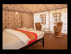 Exploring the Golden Silence of the Thar in Style