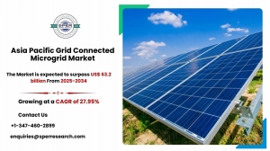 Asia Pacific Grid Connected Microgrid Market Growth, Share and Outlook 