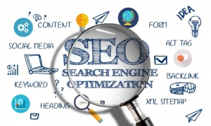 Grow Faster with Pro SEO Experts
