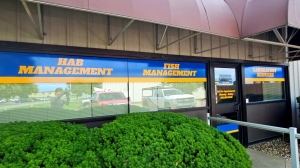 How to Match Your Window Graphics with Your Brand Aesthetic