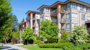 8 Essential Tips for Rent a Flat in Cairo: Your Ultimate Guide to Finding the Perfect Home