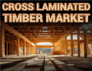 Cross Laminated Timber Market Trends Driving Sustainable Construction