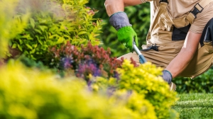 16 Key Factors to Consider When Choosing a Landscape Company inRiyadh