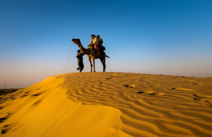 Across the Sands Where Silence Sings