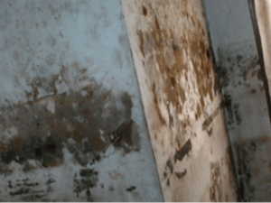 12 Mistakes Homeowners Make Before Finding Water Damage Restoration Near Me