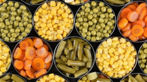 Global Food Cans Market: Size, Growth, and Strategic Insights 2025-2032