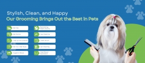 Bringing Comfort and Care to Pets Through Mobile Grooming